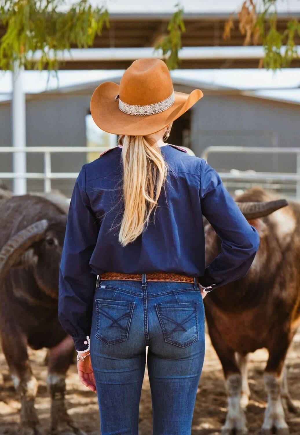Black Colt Clothing Womens Long Sleeve Shirt