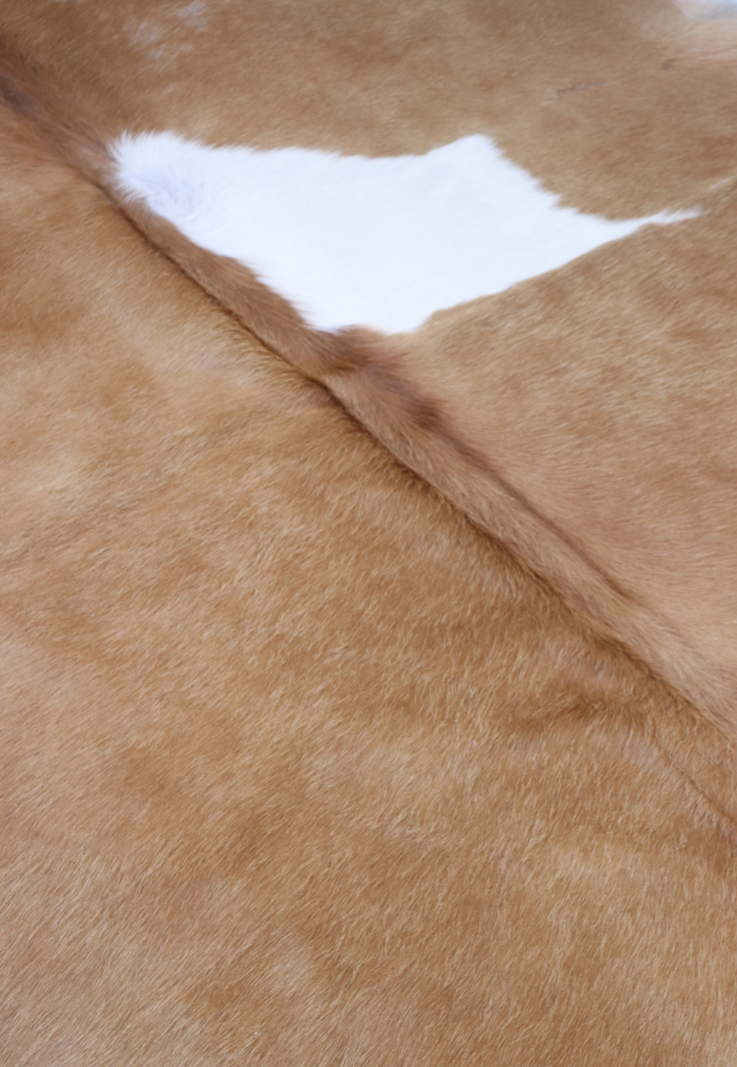 Hide & Leather House Cowhide Rug
