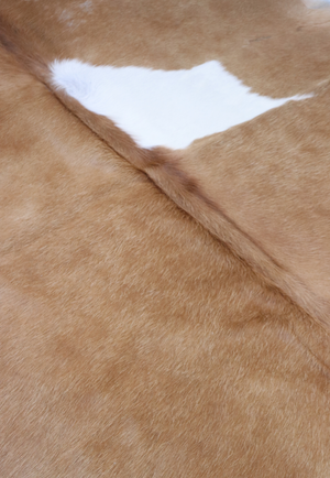 Hide & Leather House Cowhide Rug