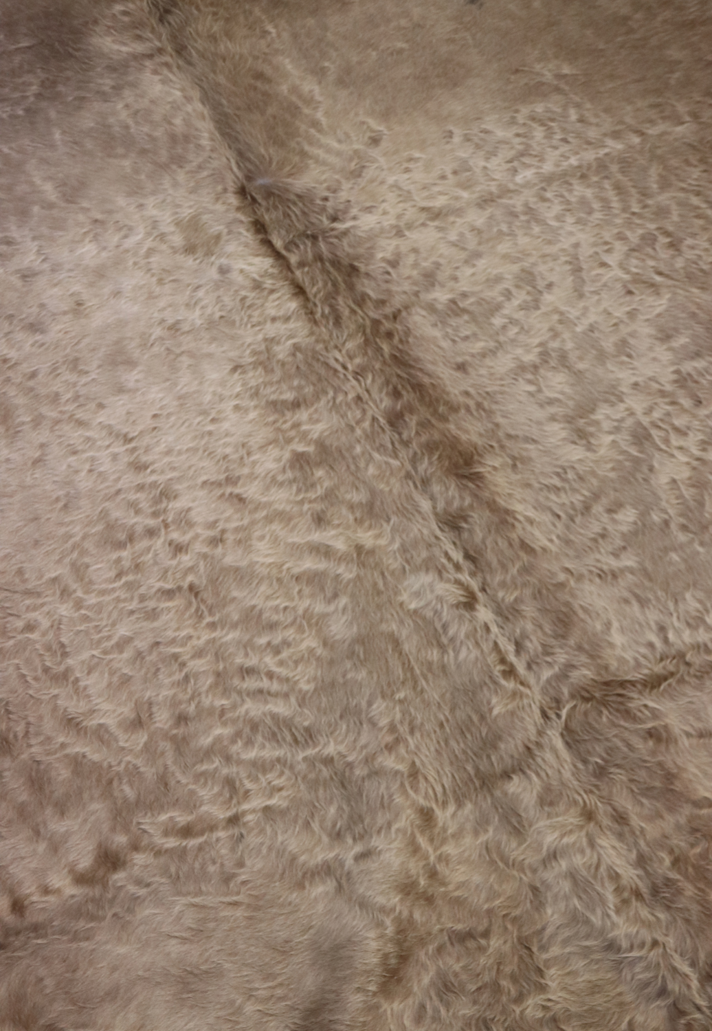 Hide & Leather House Cowhide Rug