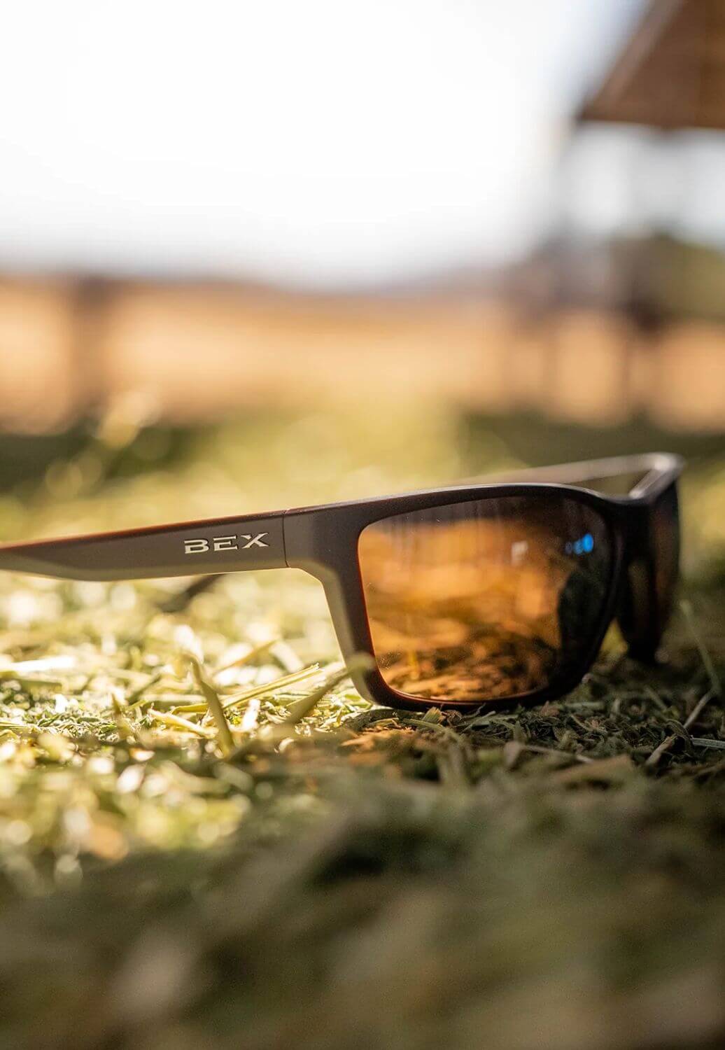 Bex Davis Sunglasses