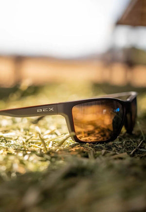 Bex Davis Sunglasses