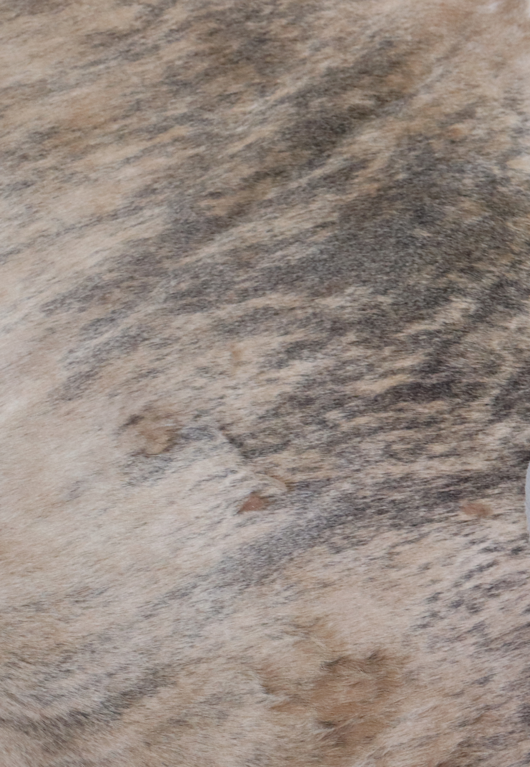 Hide & Leather House Cowhide Rug