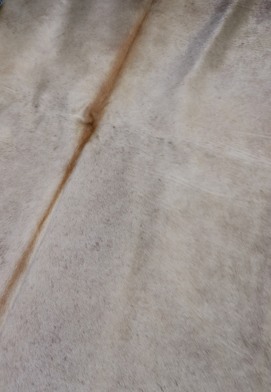 Hide & Leather House Cowhide Rug