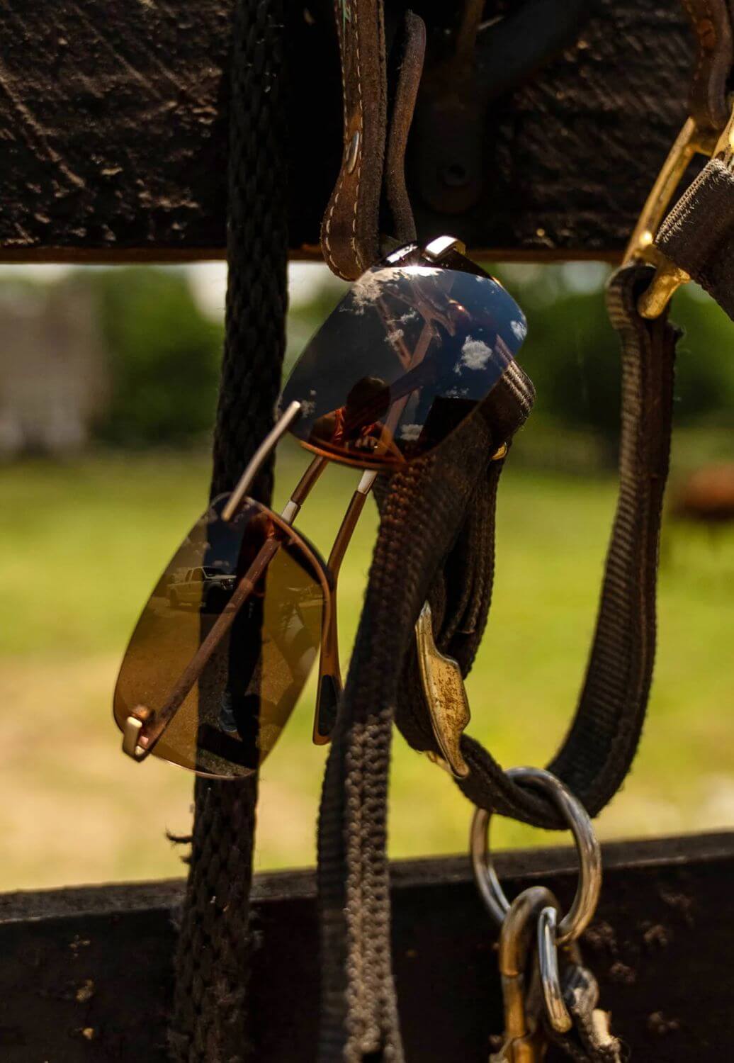 Bex Legolas OTG Sunglasses