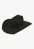 Twister Double S 5X Wool/Fur Felt Hat