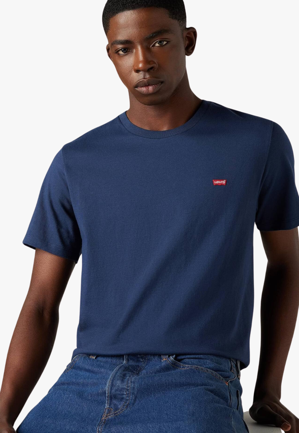 Levi Mens Housemark Original T-Shirt