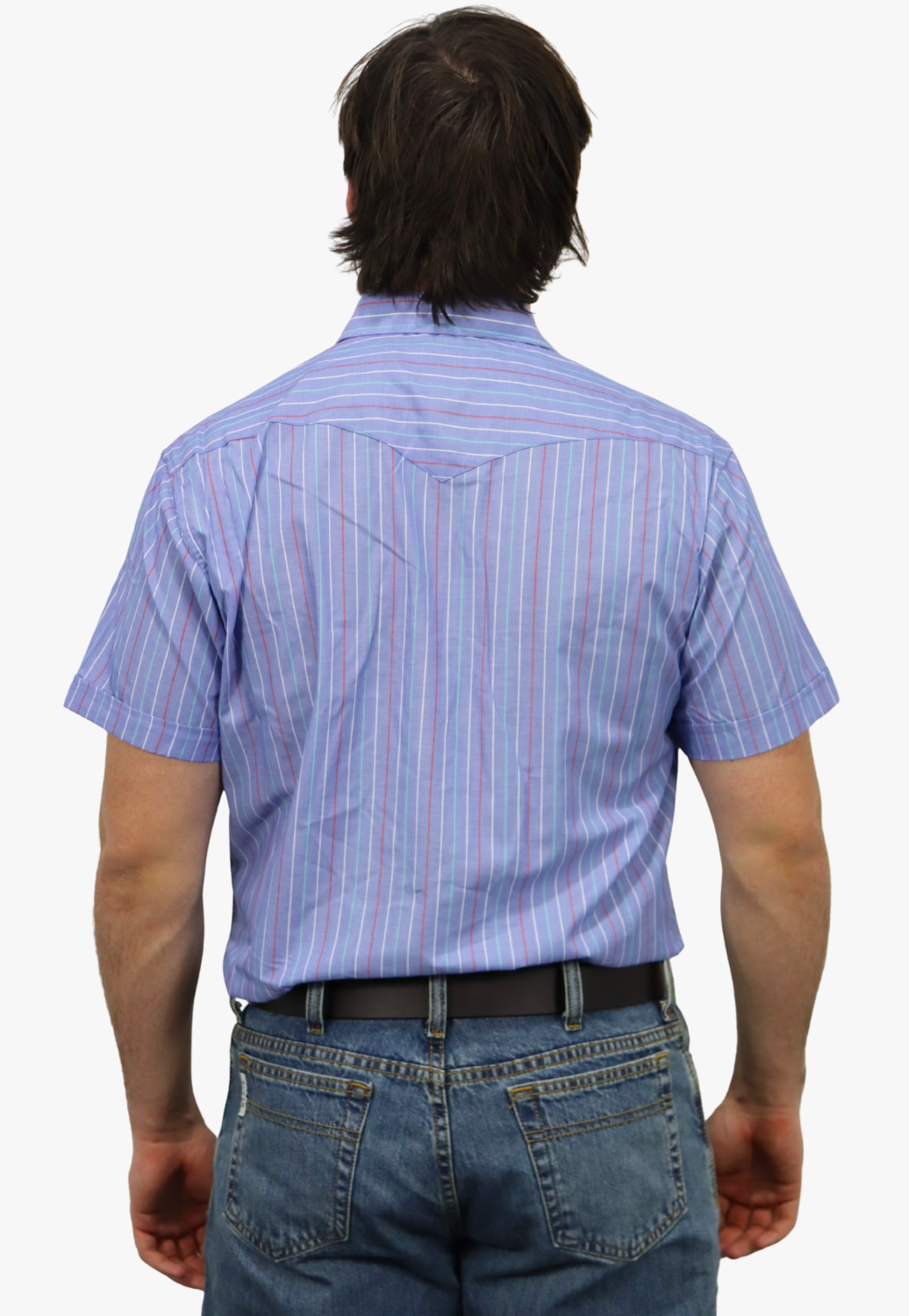 Panhandle Mens Stripe Short Sleeve Shirt