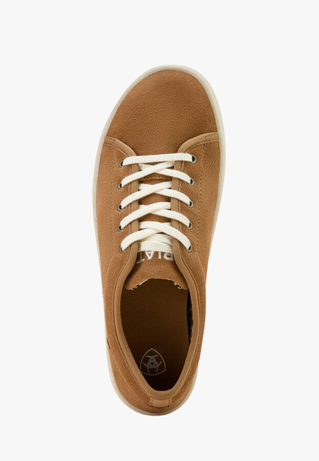 Ariat Womens Skylar Suede Shoe