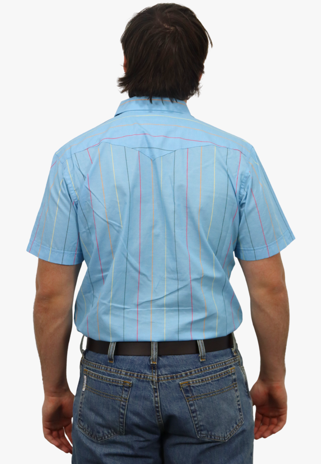 Panhandle Mens Stripe Short Sleeve Shirt