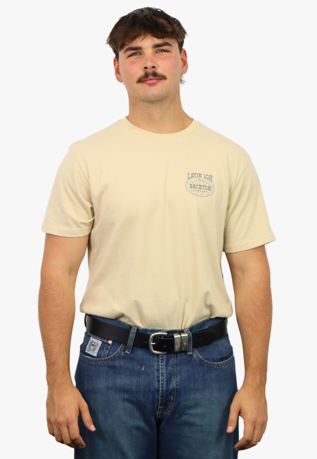 Brixton Mens Layin Low T-Shirt