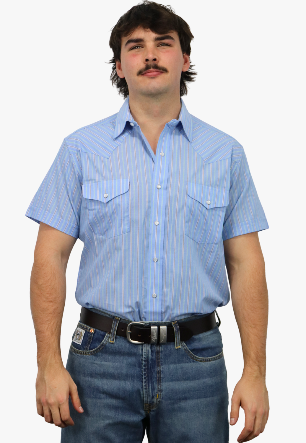 Panhandle Mens Stripe Short Sleeve Shirt