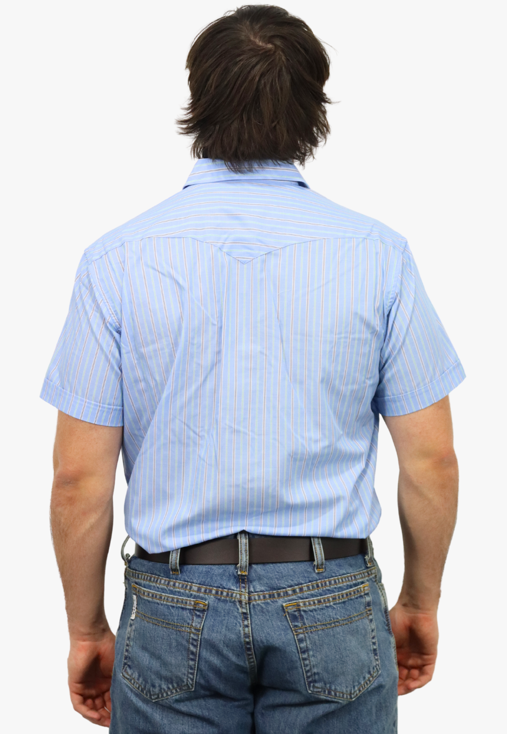 Panhandle Mens Stripe Short Sleeve Shirt