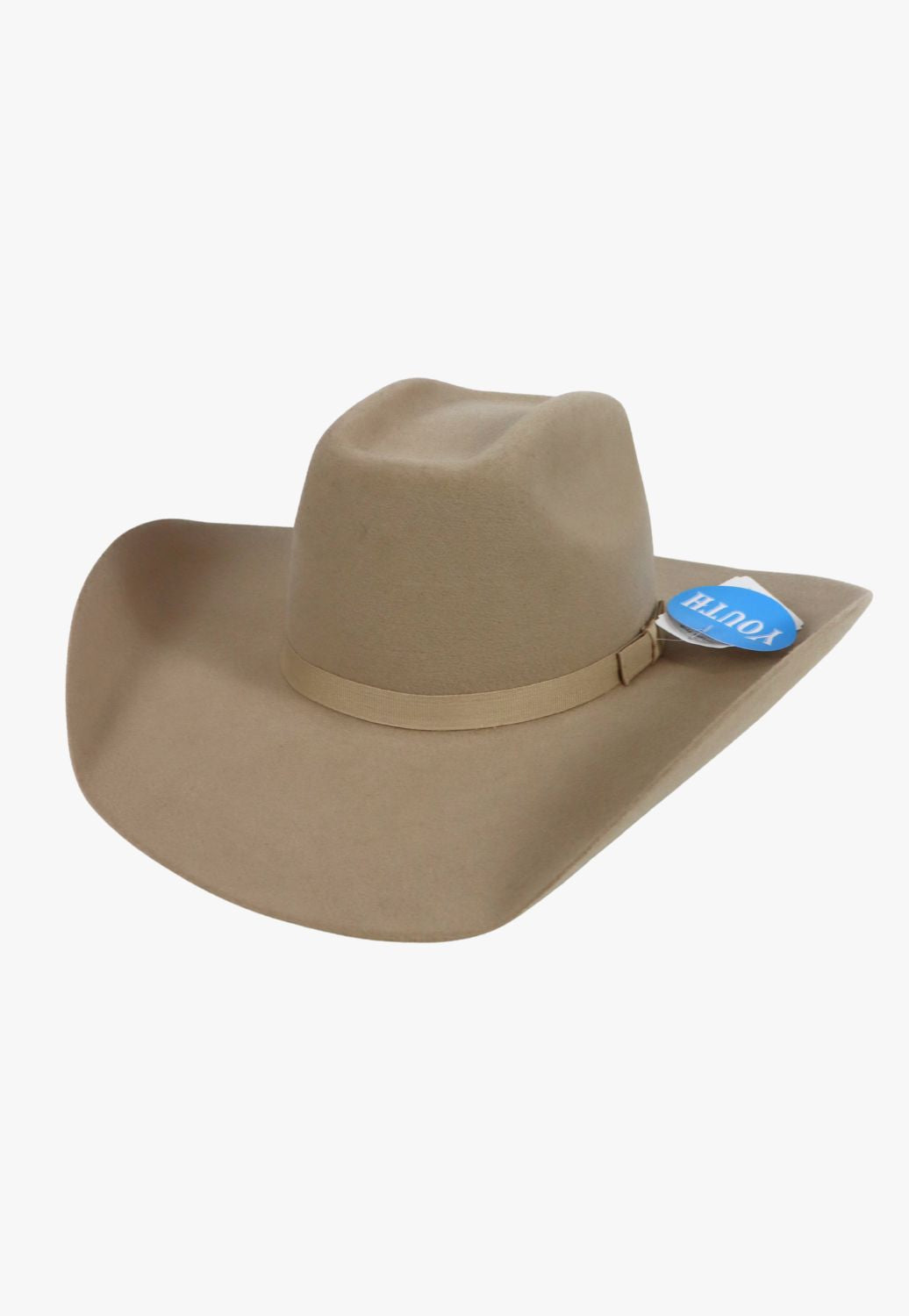 Twister Youth Wool Felt Hat T72342149