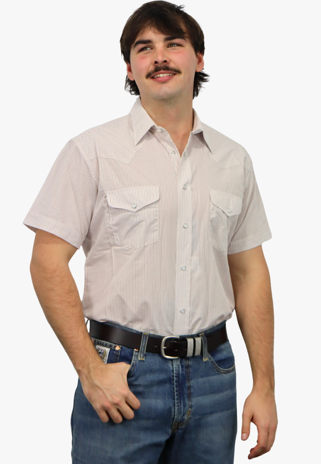 Panhandle Mens Stripe Short Sleeve Shirt