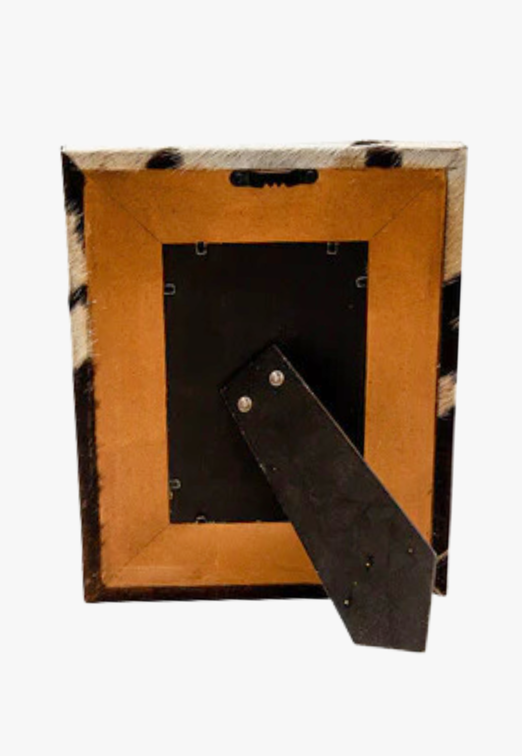 Myra Cactos Photo Frame