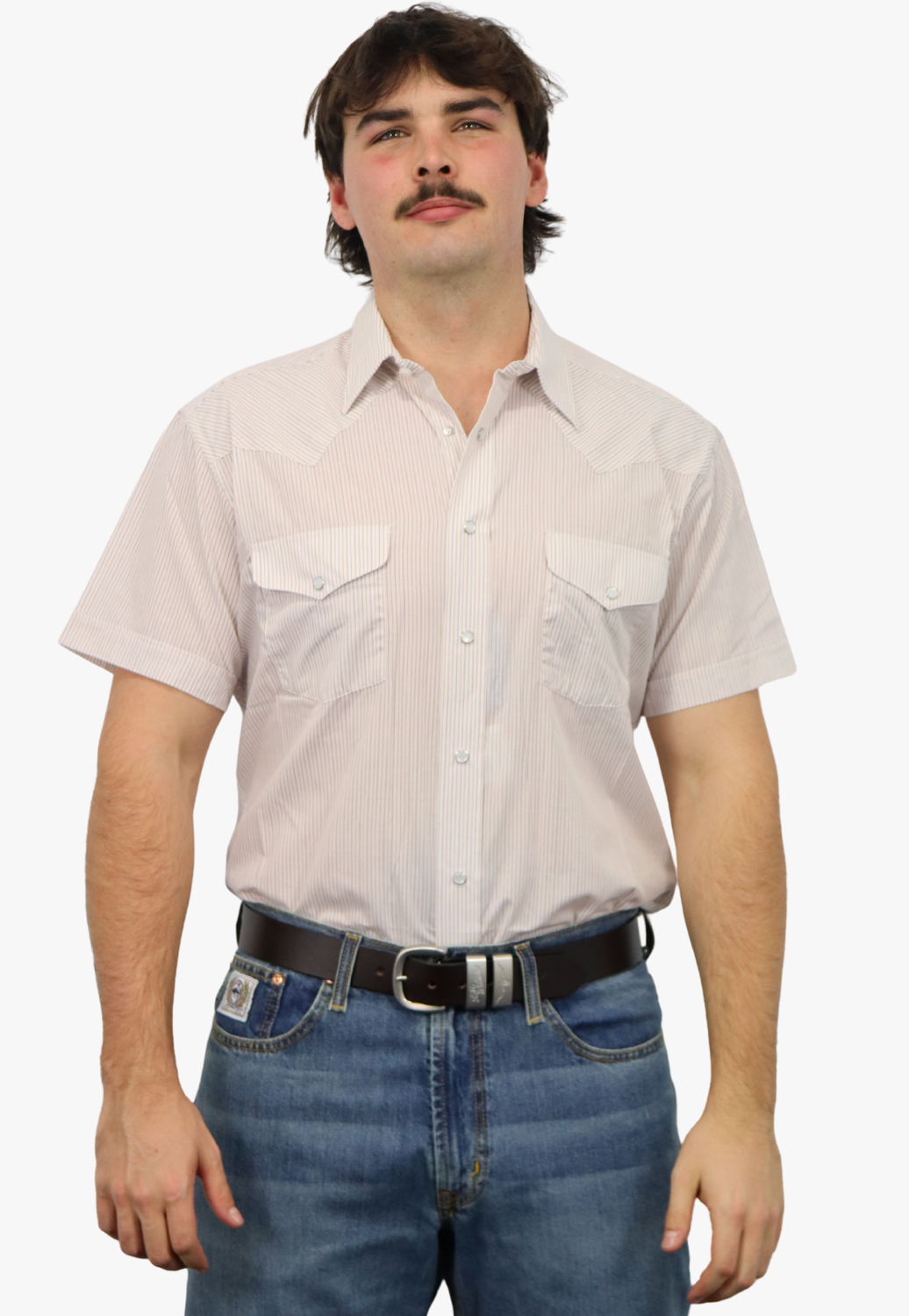 Panhandle Mens Stripe Short Sleeve Shirt