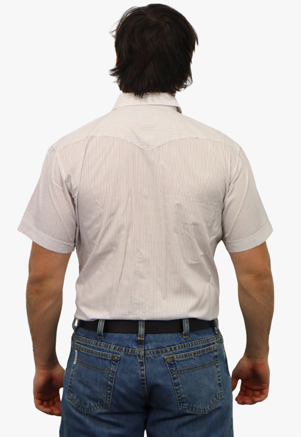 Panhandle Mens Stripe Short Sleeve Shirt