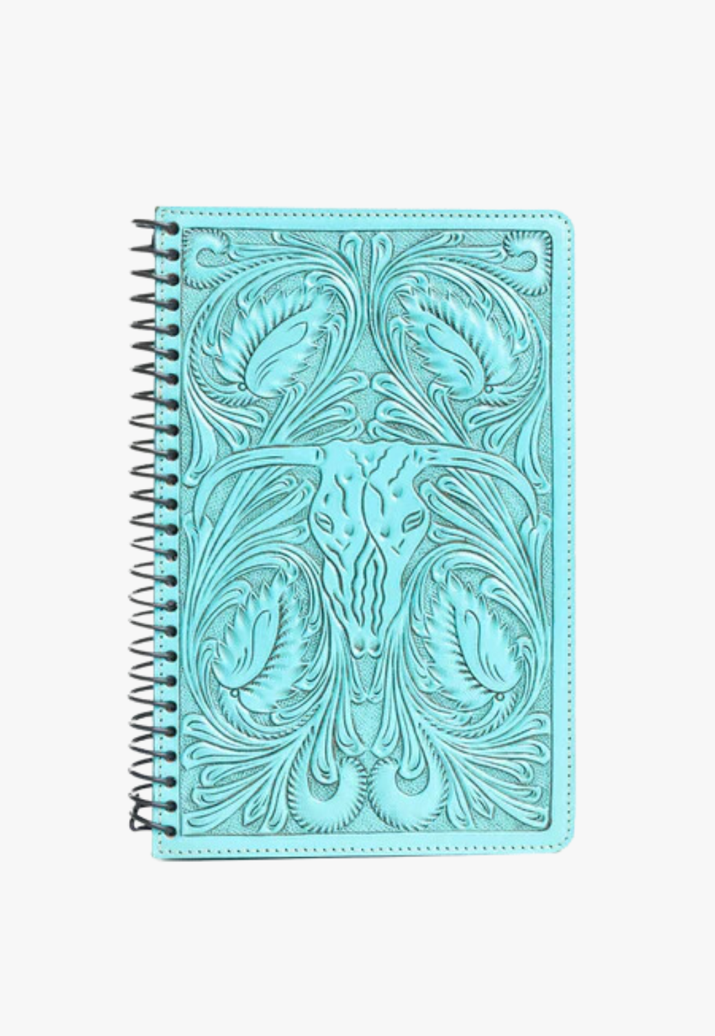 Myra Steerhallow Canyon Diary