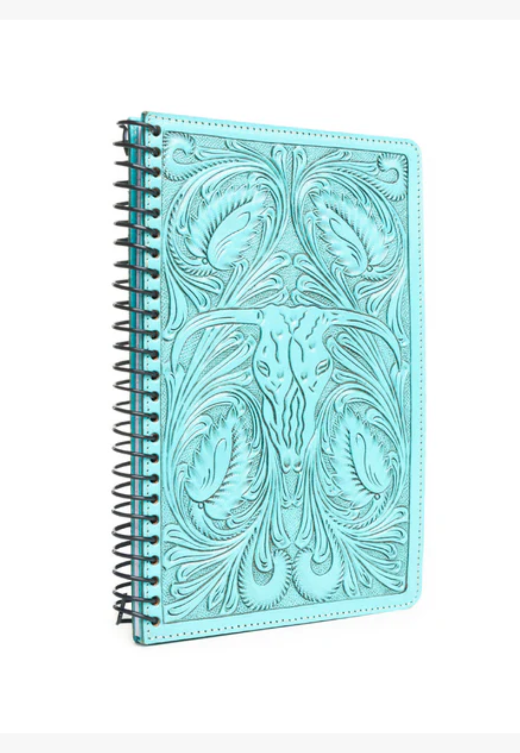 Myra Steerhallow Canyon Diary