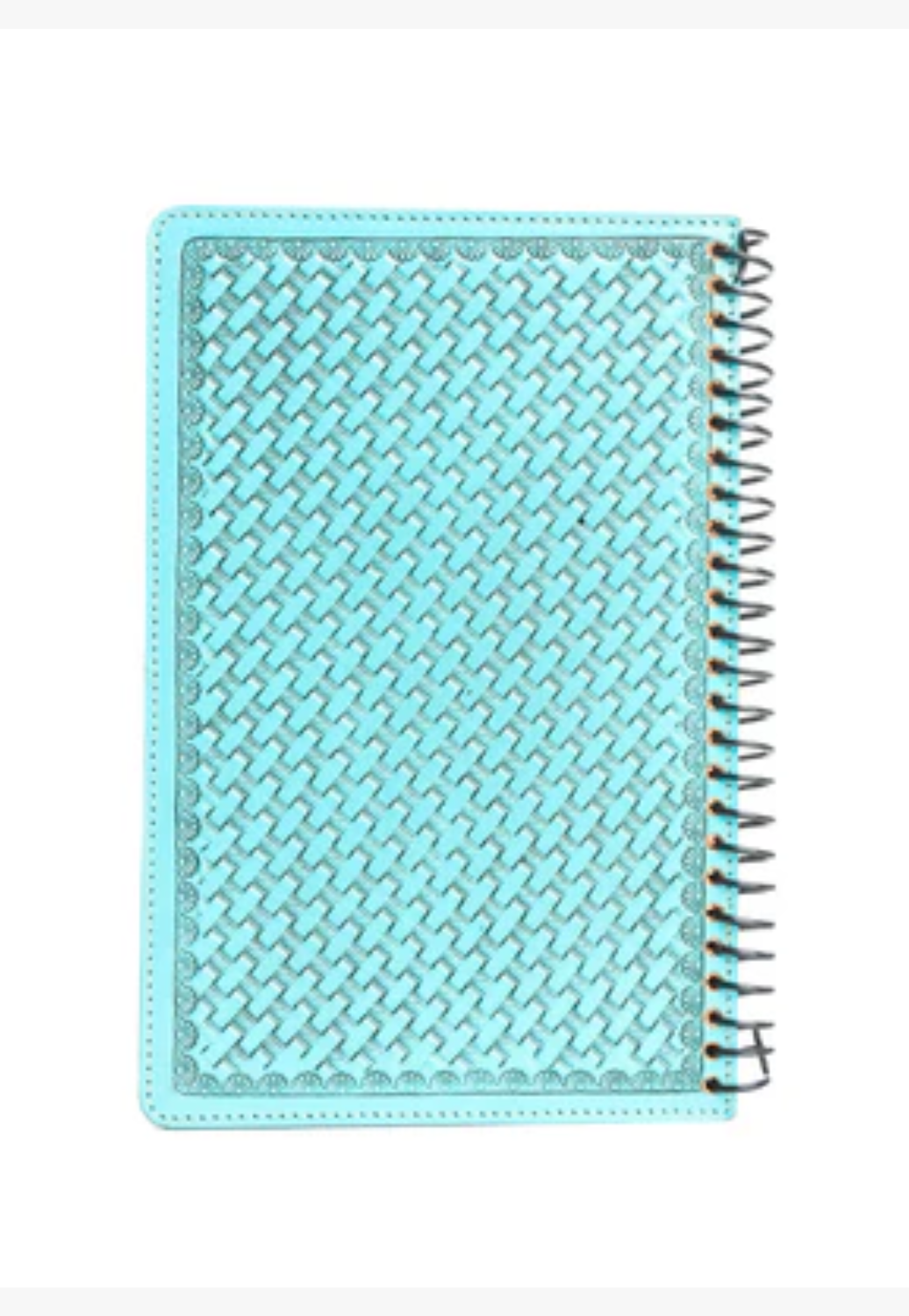 Myra Steerhallow Canyon Diary