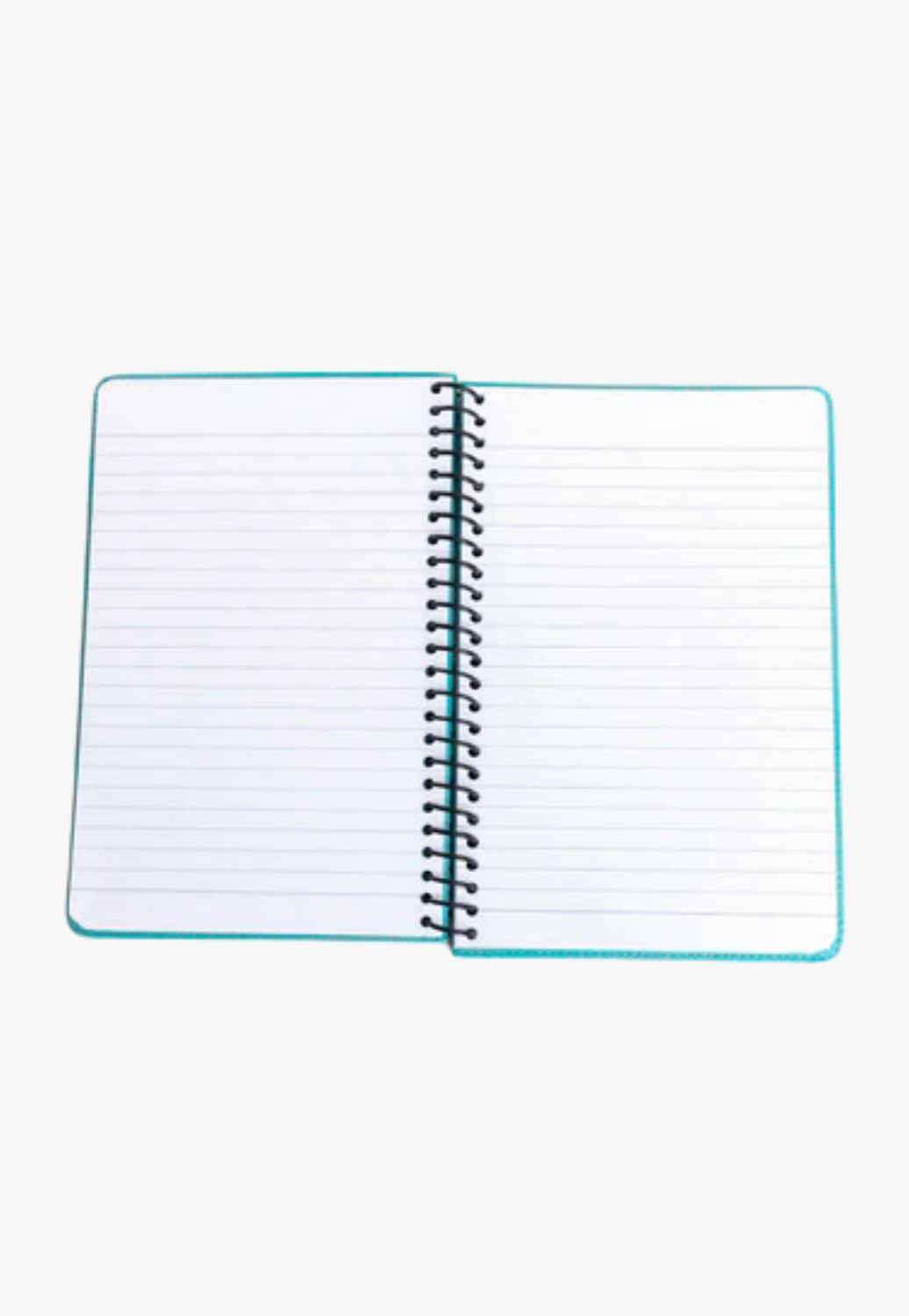 Myra Steerhallow Canyon Diary