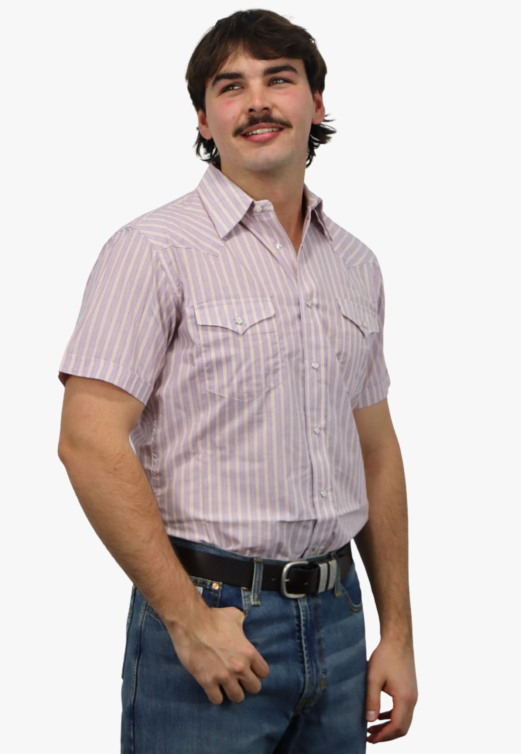 Panhandle Mens Stripe Short Sleeve Shirt
