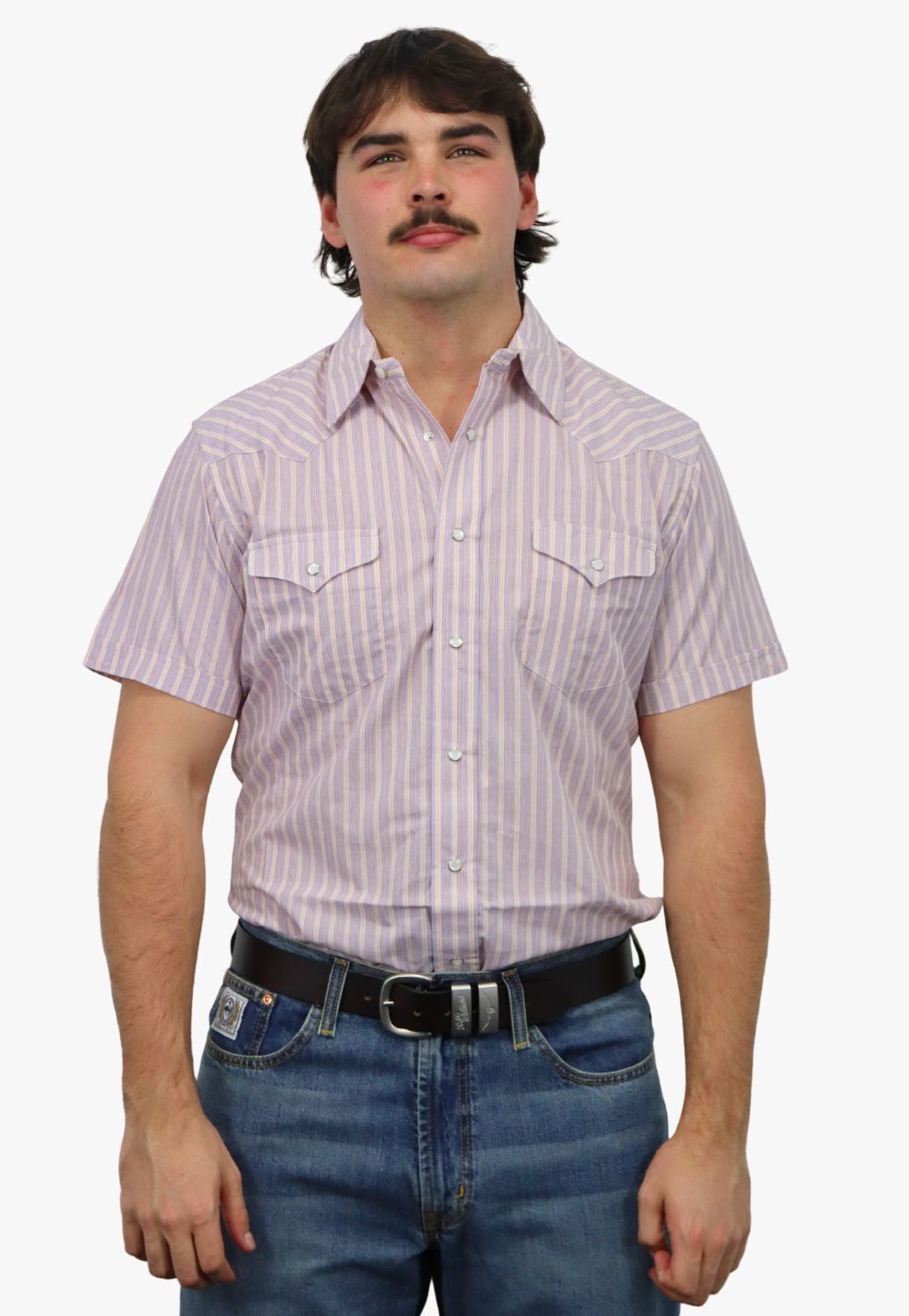 Panhandle Mens Stripe Short Sleeve Shirt