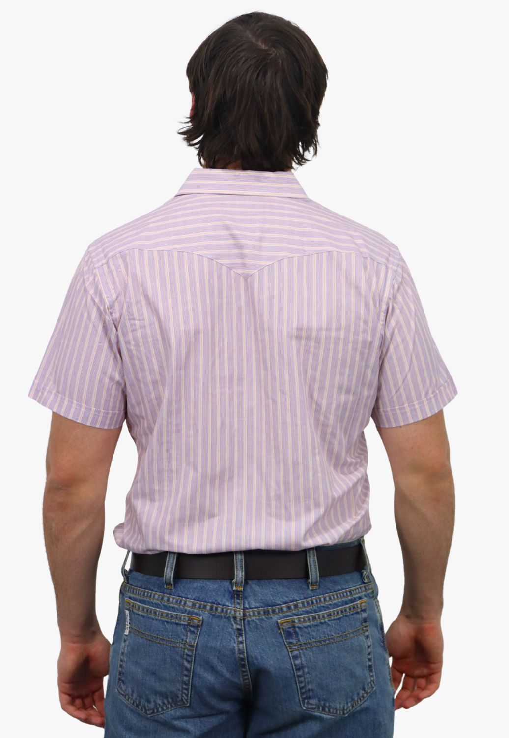 Panhandle Mens Stripe Short Sleeve Shirt