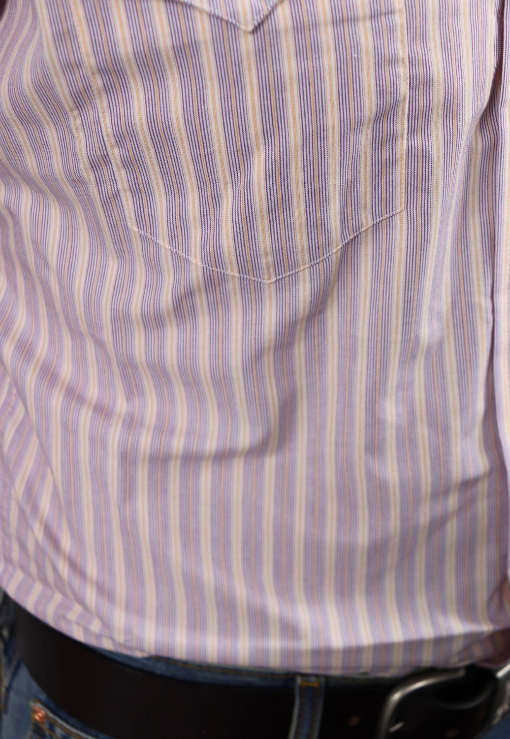 Panhandle Mens Stripe Short Sleeve Shirt