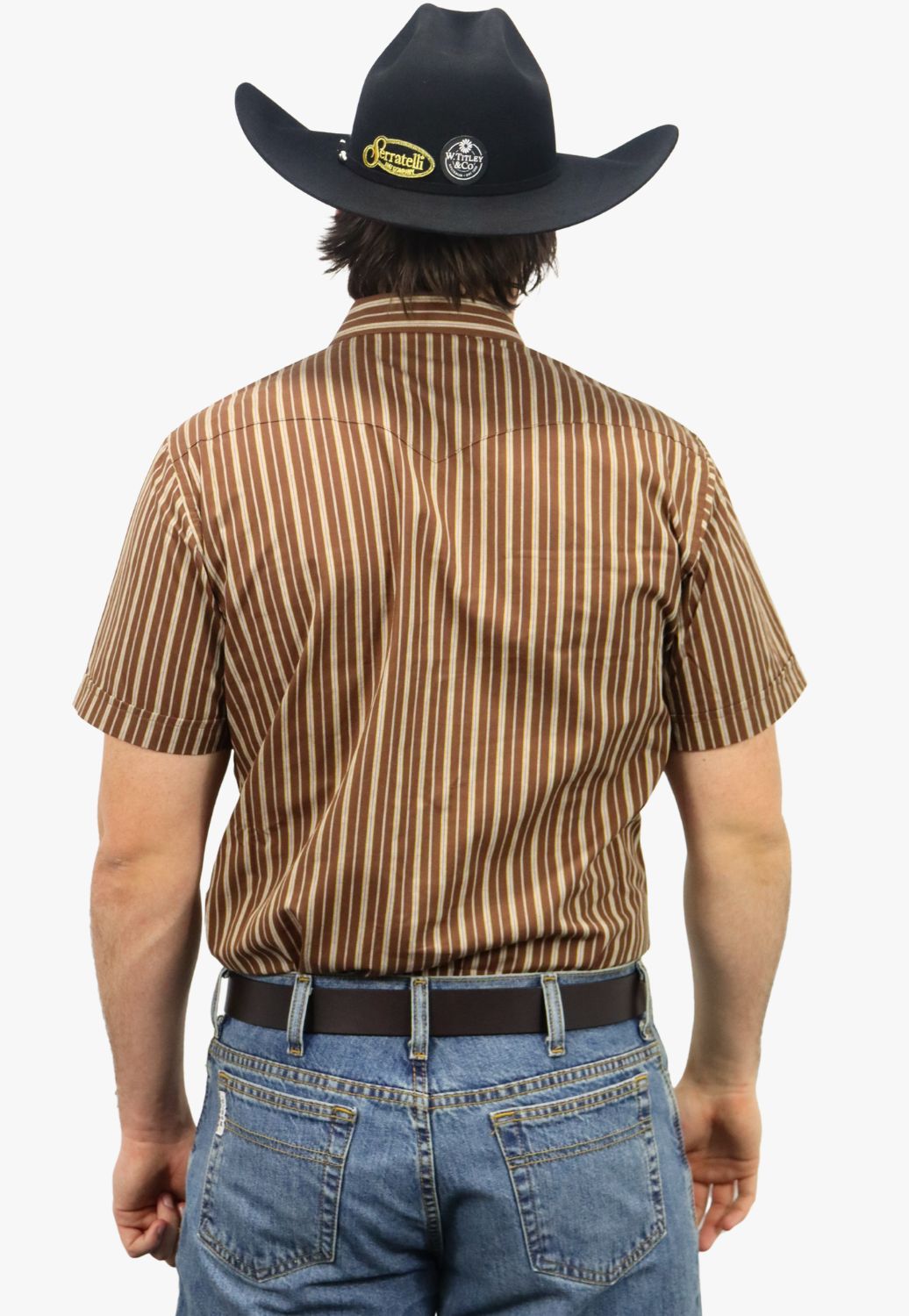 Panhandle Mens Stripe Short Sleeve Shirt