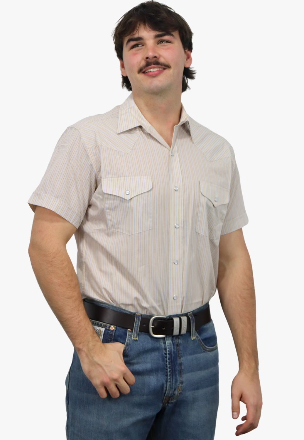 Panhandle Mens Stripe Short Sleeve Shirt