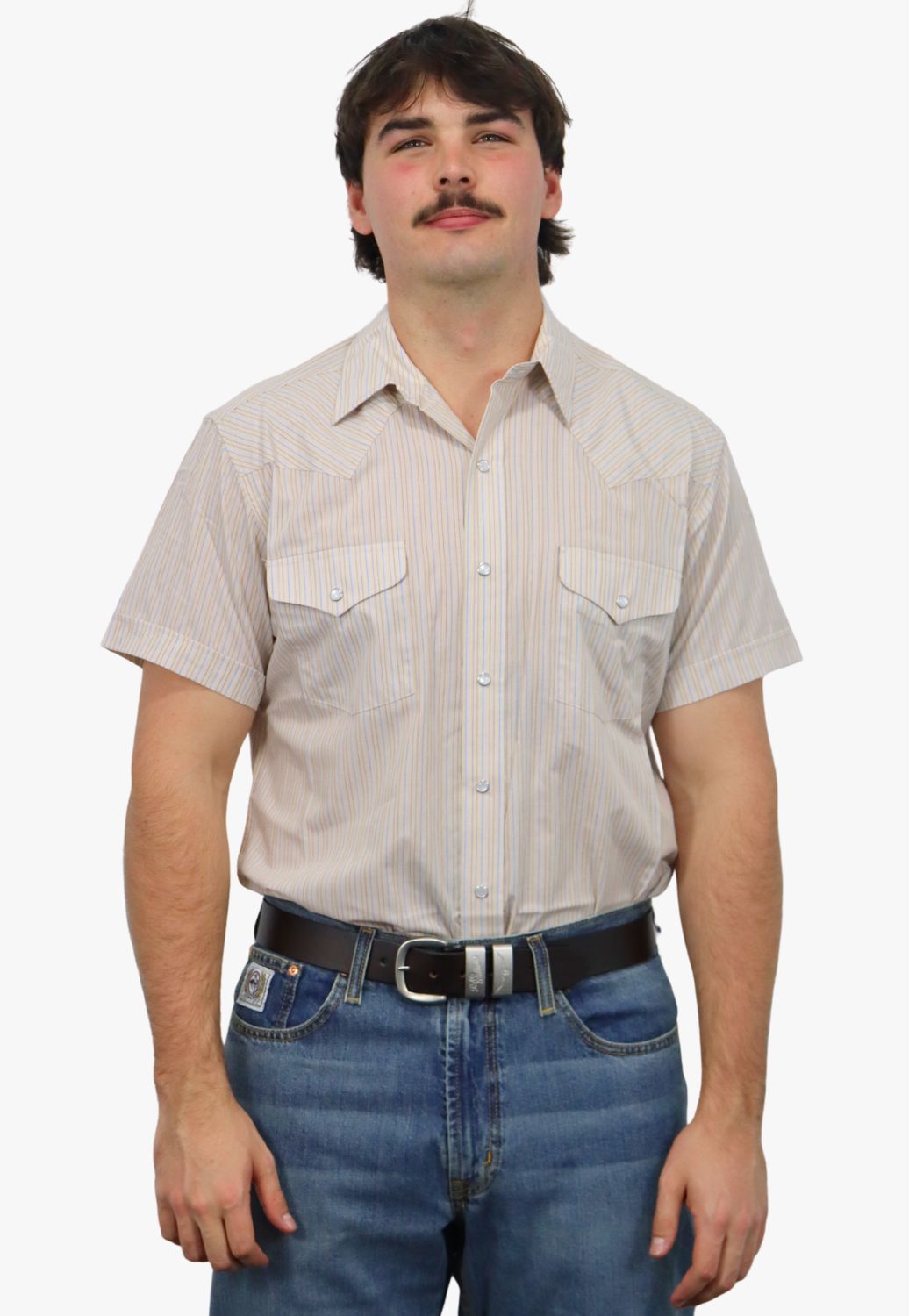 Panhandle Mens Stripe Short Sleeve Shirt