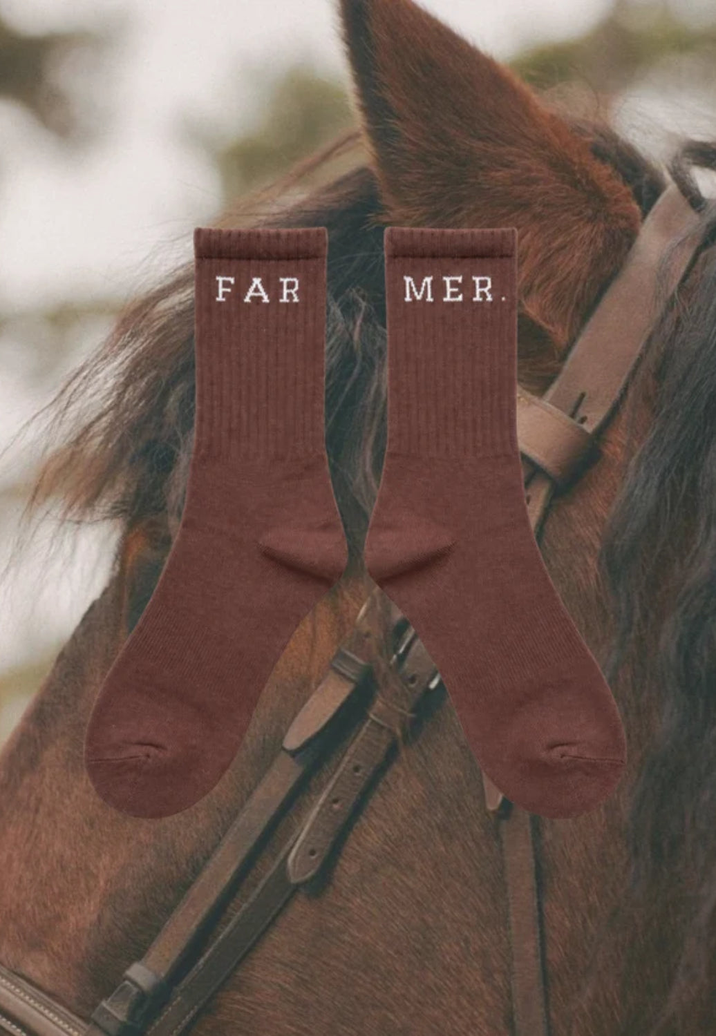Whitney Spicer FAR MER. Boot Socks