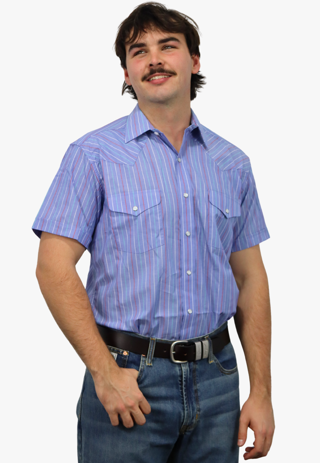 Panhandle Mens Stripe Short Sleeve Shirt