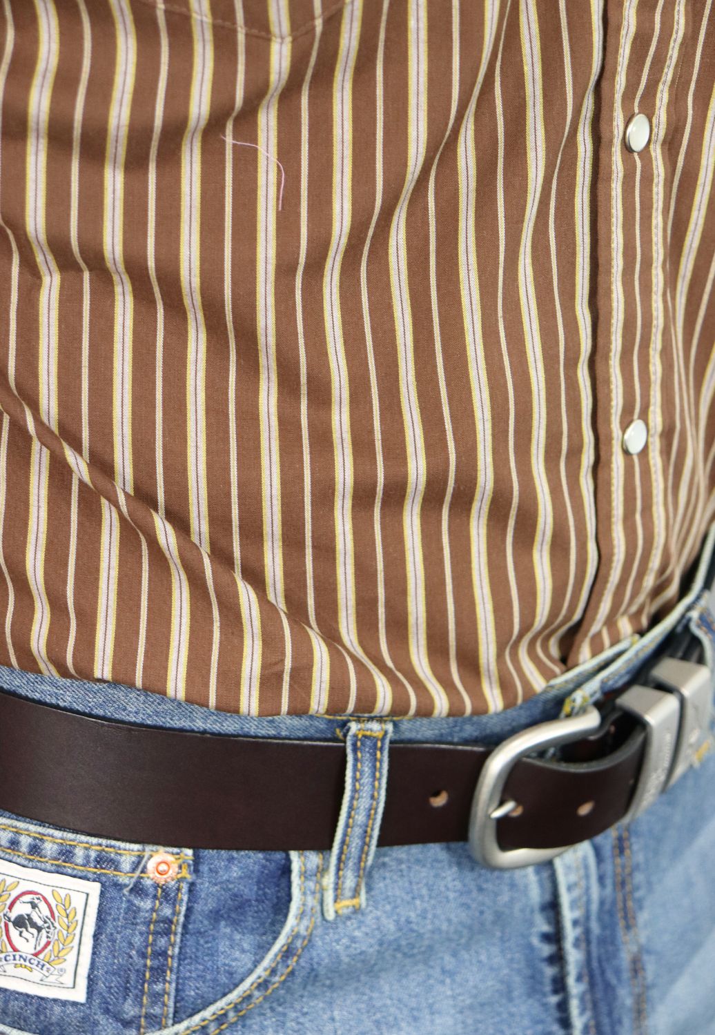 Panhandle Mens Stripe Short Sleeve Shirt