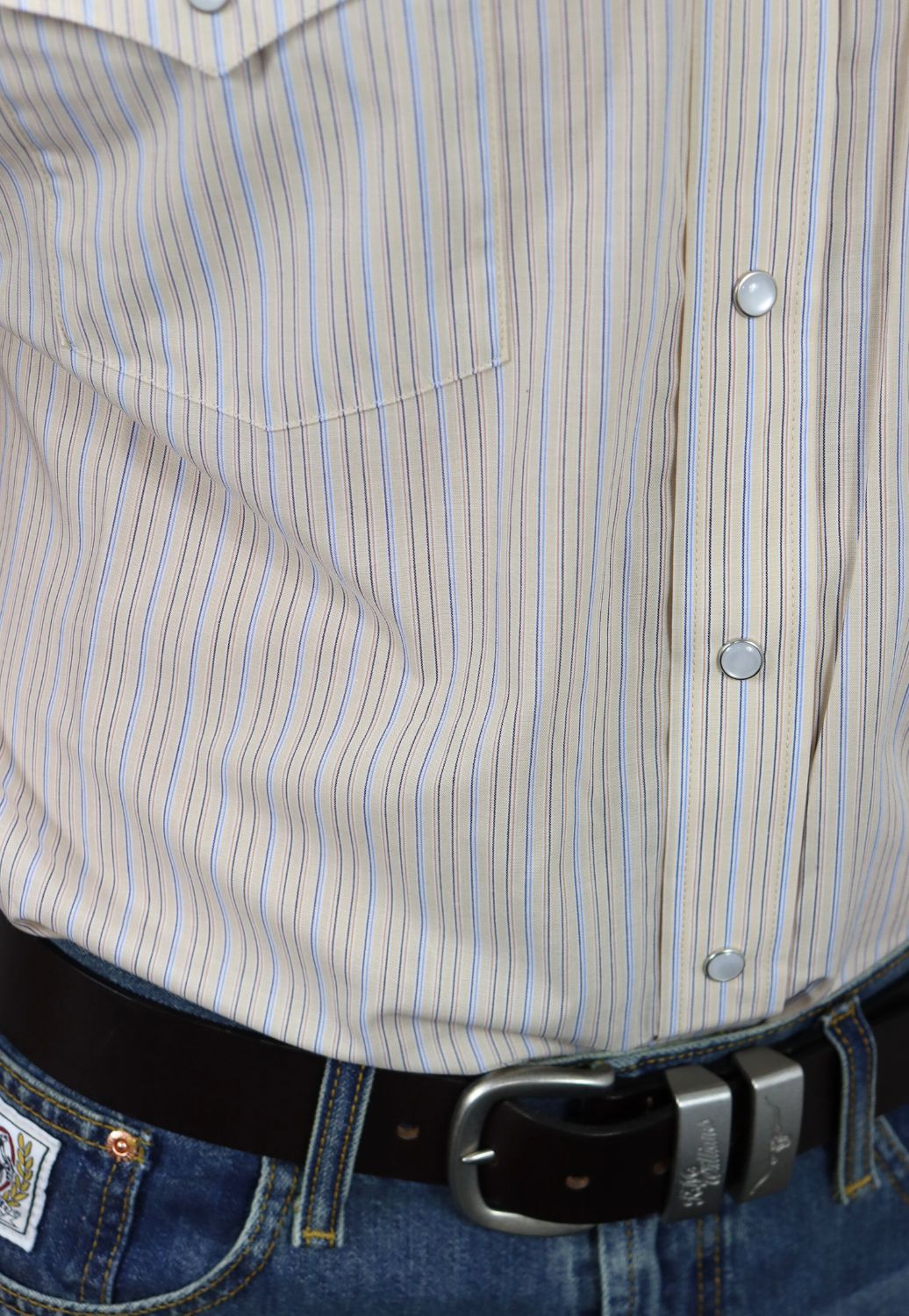 Panhandle Mens Stripe Short Sleeve Shirt