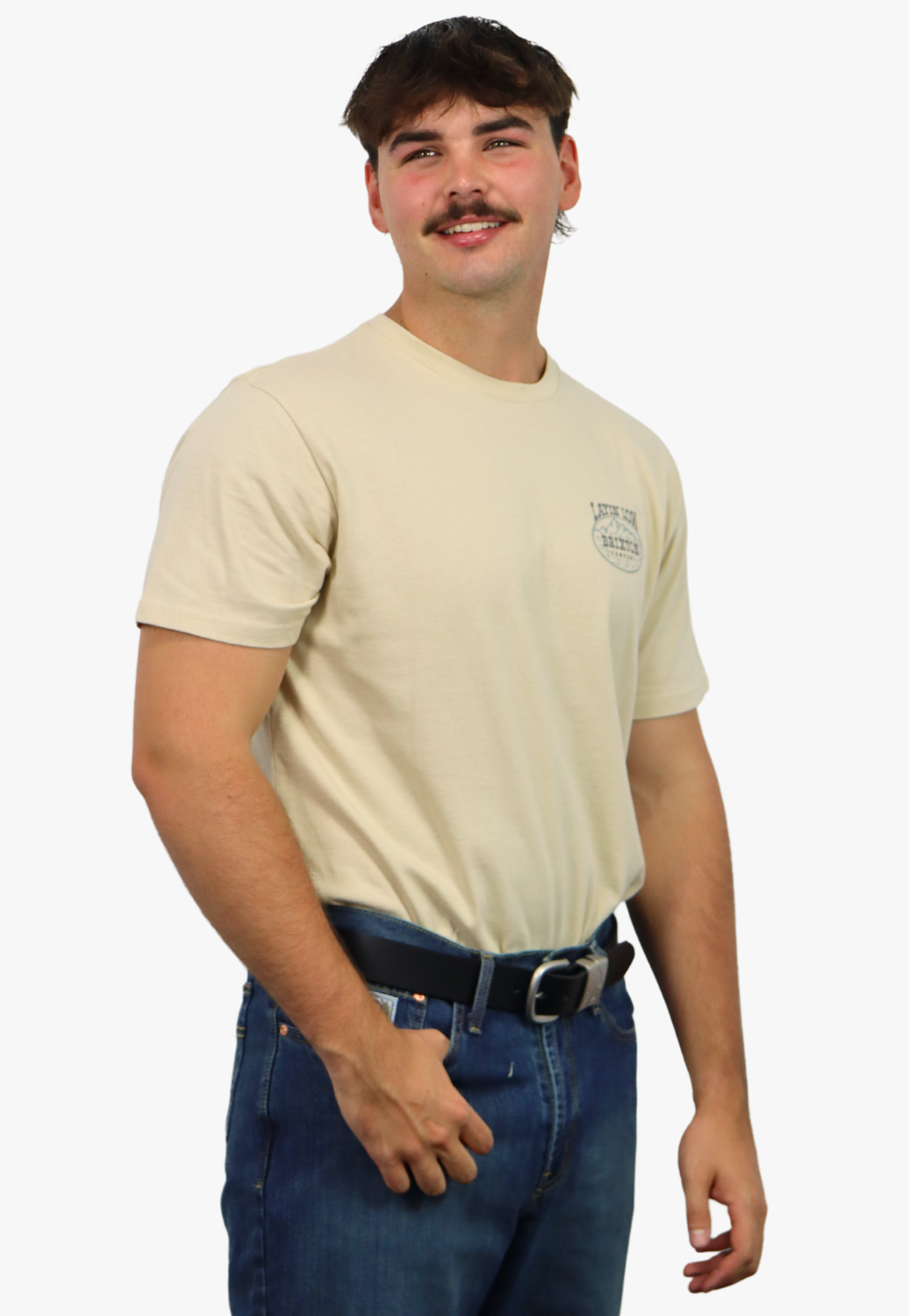 Brixton Mens Layin Low T-Shirt