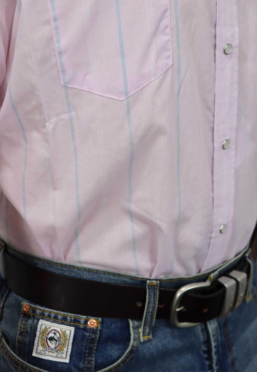 Panhandle Mens Stripe Short Sleeve Shirt