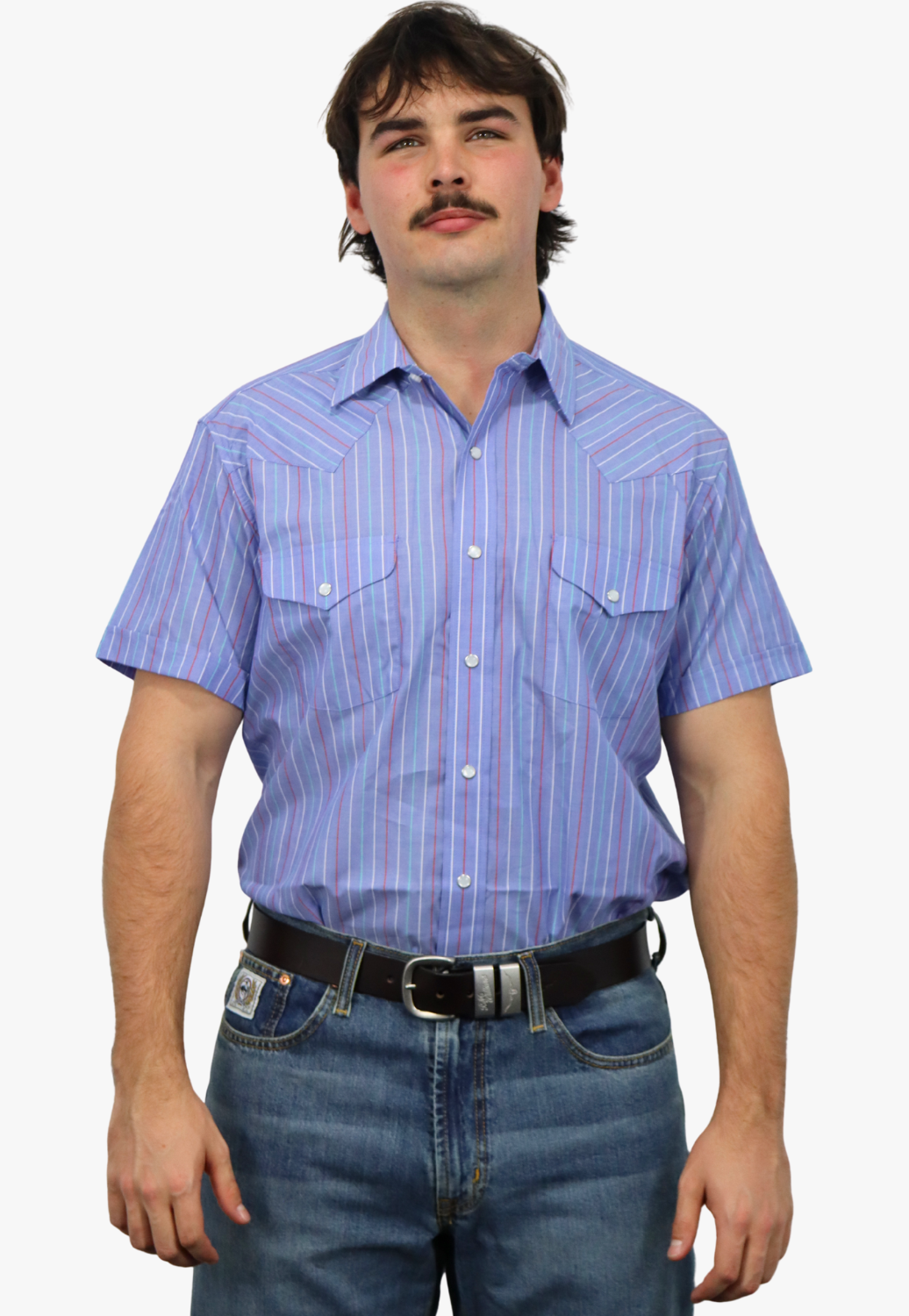 Panhandle Mens Stripe Short Sleeve Shirt