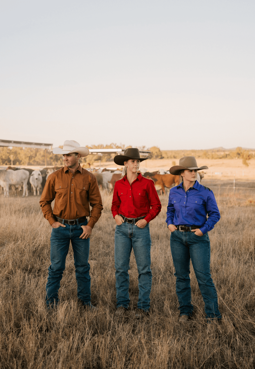 Pilbara Mens Closed Front Work Shirt RM200CF