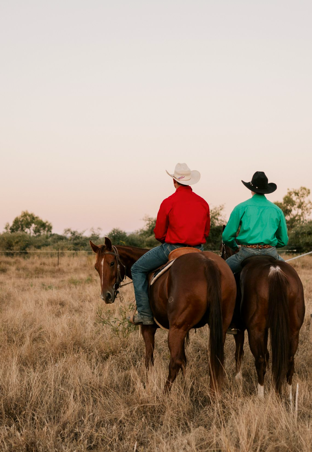 Pilbara Mens Closed Front Work Shirt RM200CF