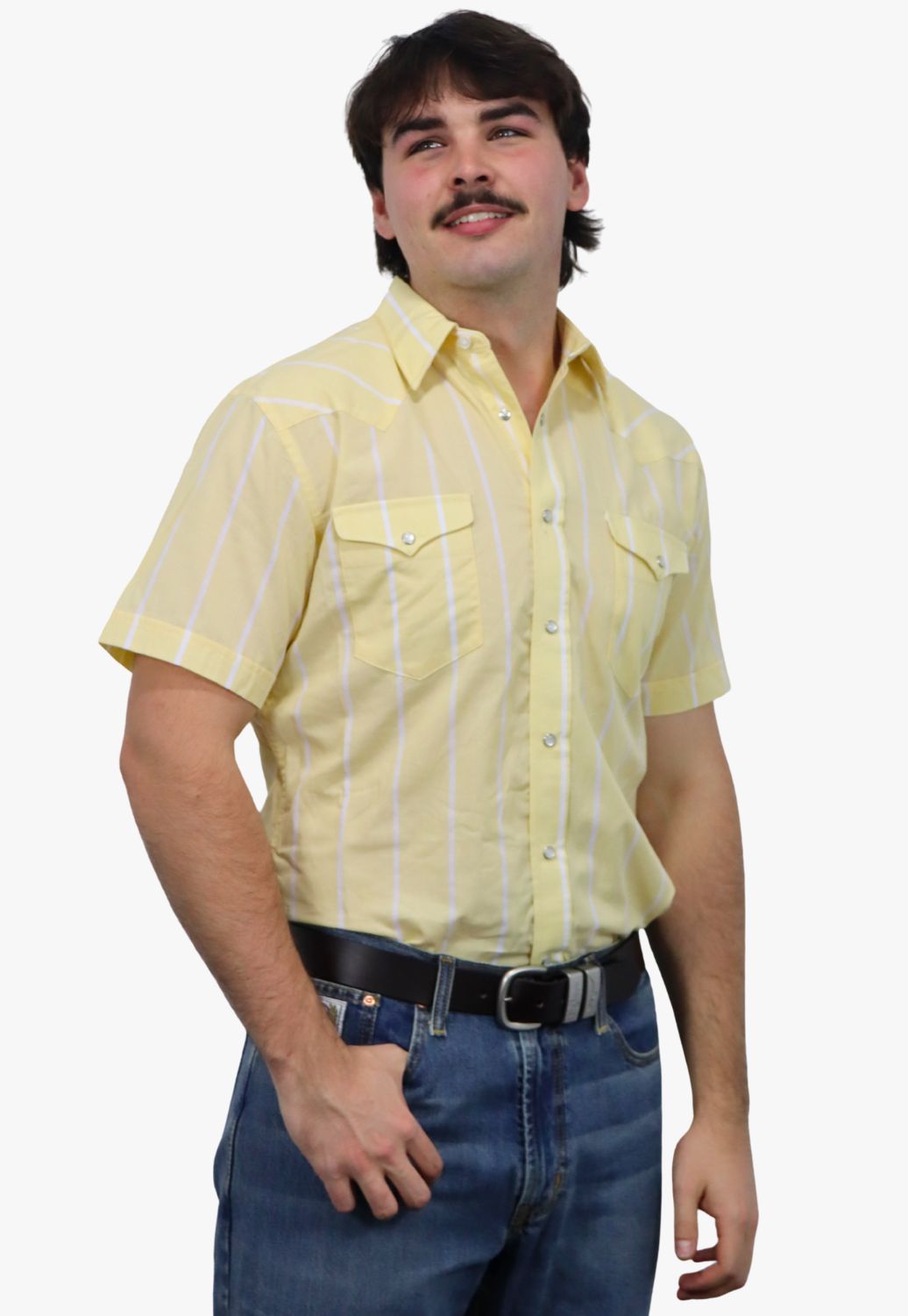 Panhandle Mens Stripe Short Sleeve Shirt