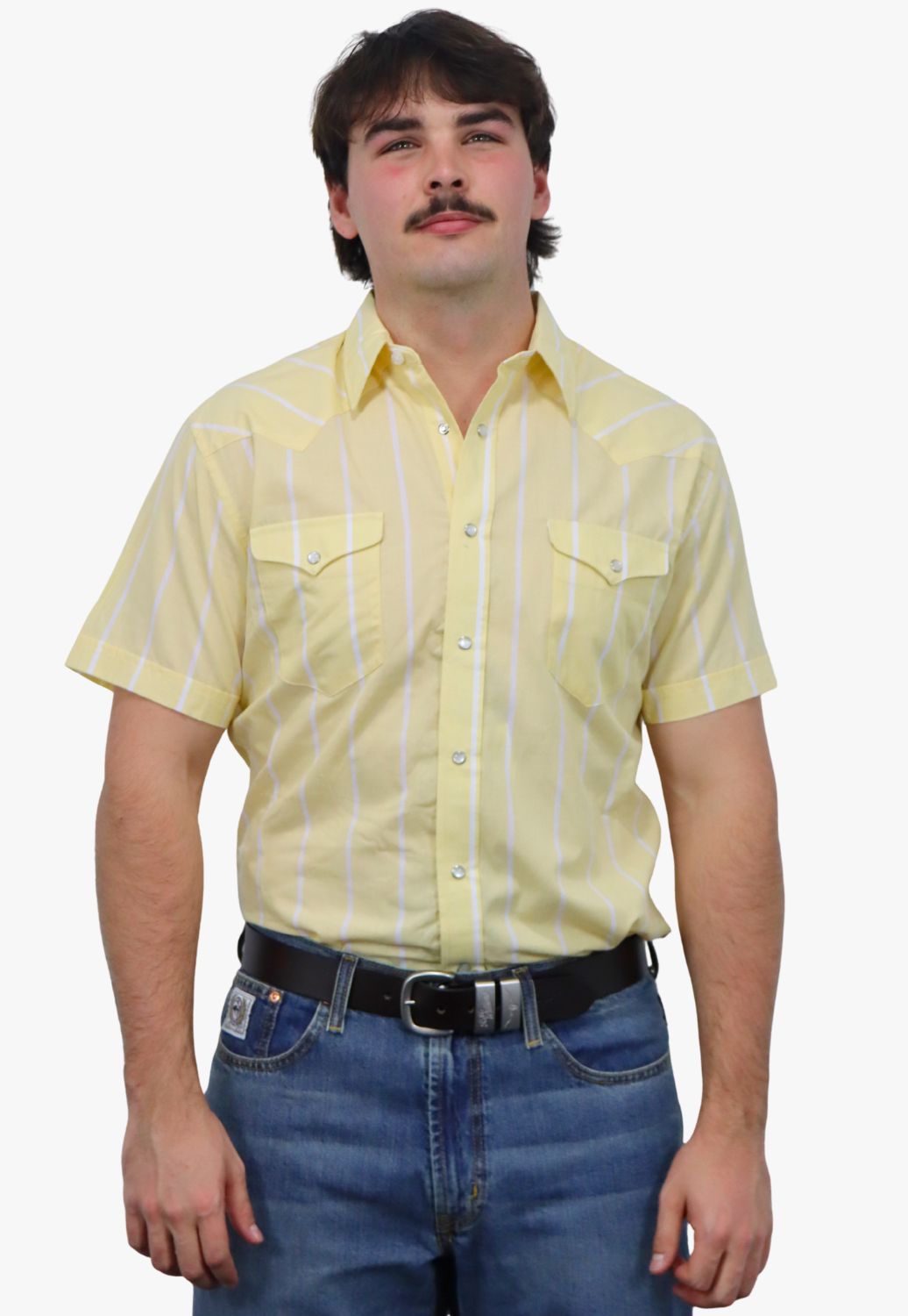 Panhandle Mens Stripe Short Sleeve Shirt