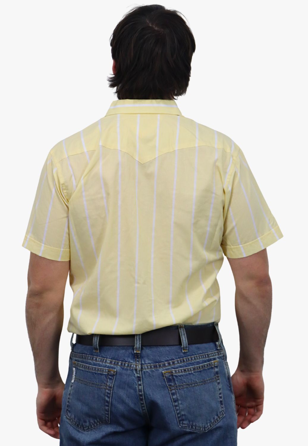 Panhandle Mens Stripe Short Sleeve Shirt