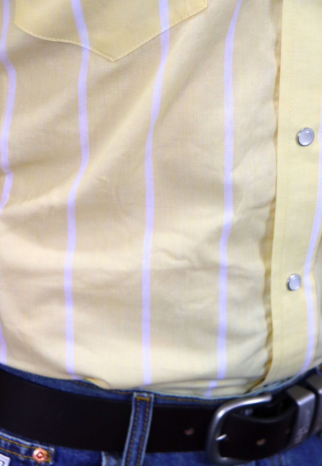 Panhandle Mens Stripe Short Sleeve Shirt