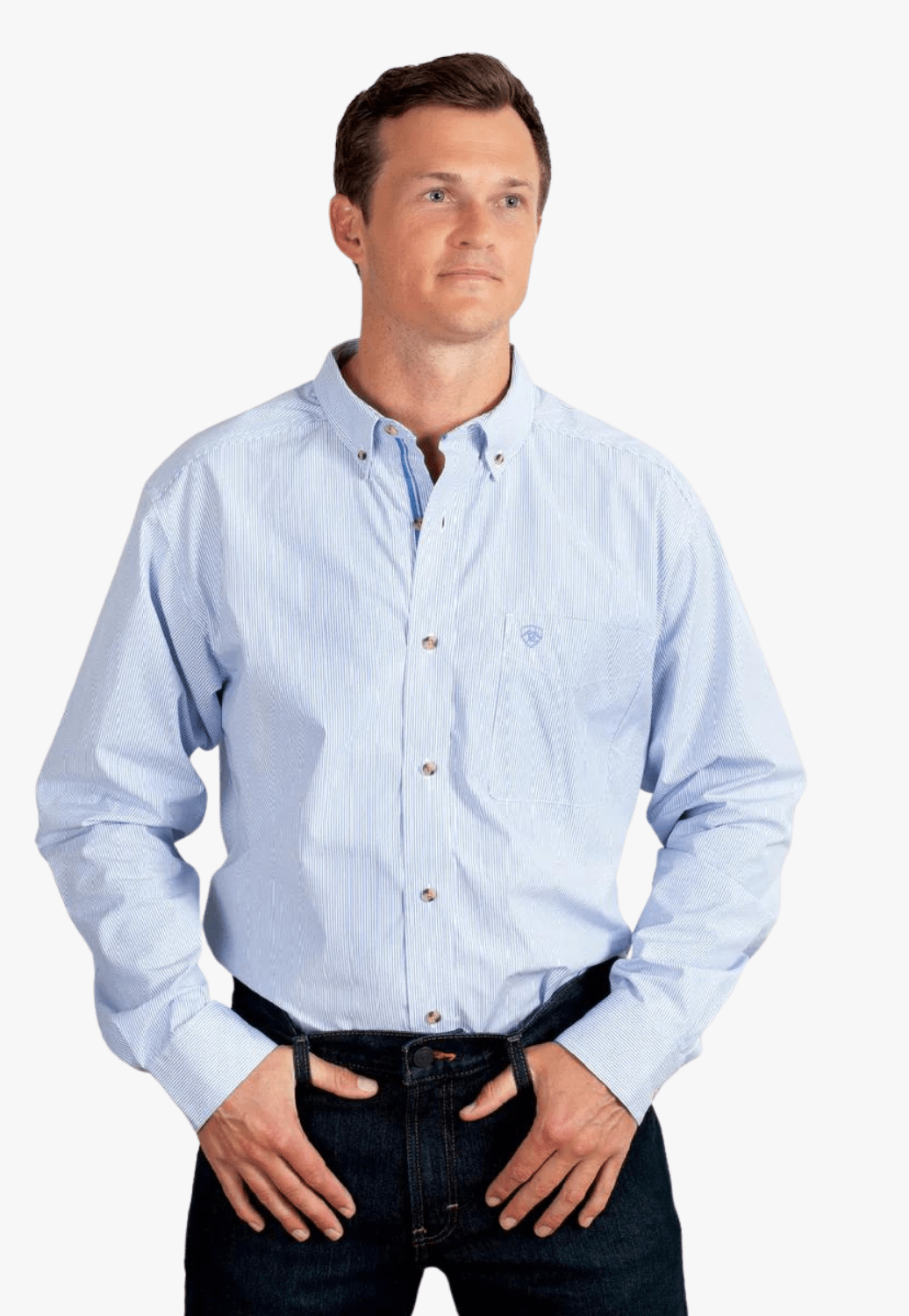 Ariat CLOTHING-Mens Long Sleeve Shirts Ariat Mens Pro Series Cliff Stripe Long Sleeve Shirt