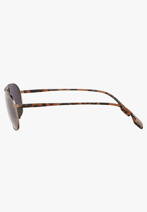 BEX ACCESSORIES-Sunglasses Gold/Brown BEX Ranger X Sunglasses