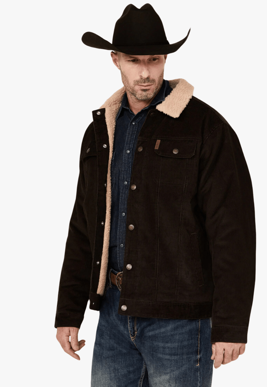 Cinch CLOTHING-Mens Jackets Cinch Mens Corduroy Sherpa Lined Snap Jacket