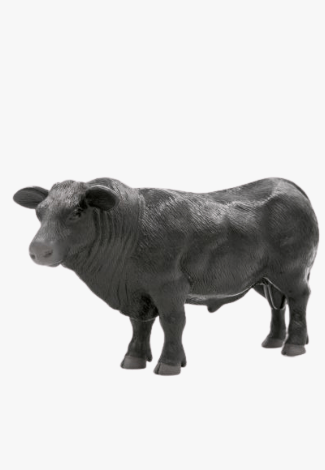 Little Buster Toys TOYS Black Little Buster Toys Angus Bull